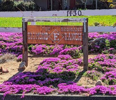 Central Coast Ranch Reaches 10-Year Agritourism Milestone
