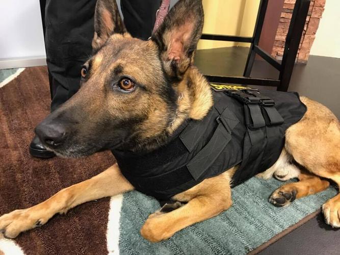 20732709_10214392899758614_983982864_n