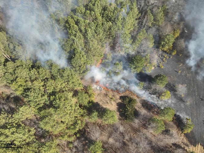 SEAFORD BRUSH FIRE _0302_2.jpg