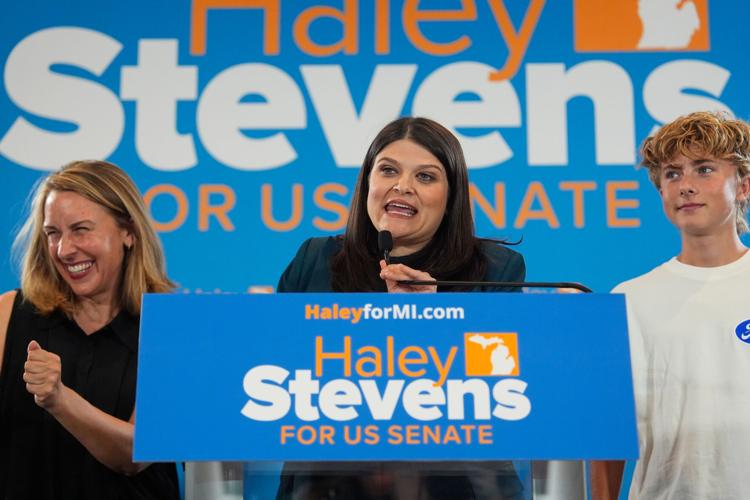 Election 2026 Michigan Senate