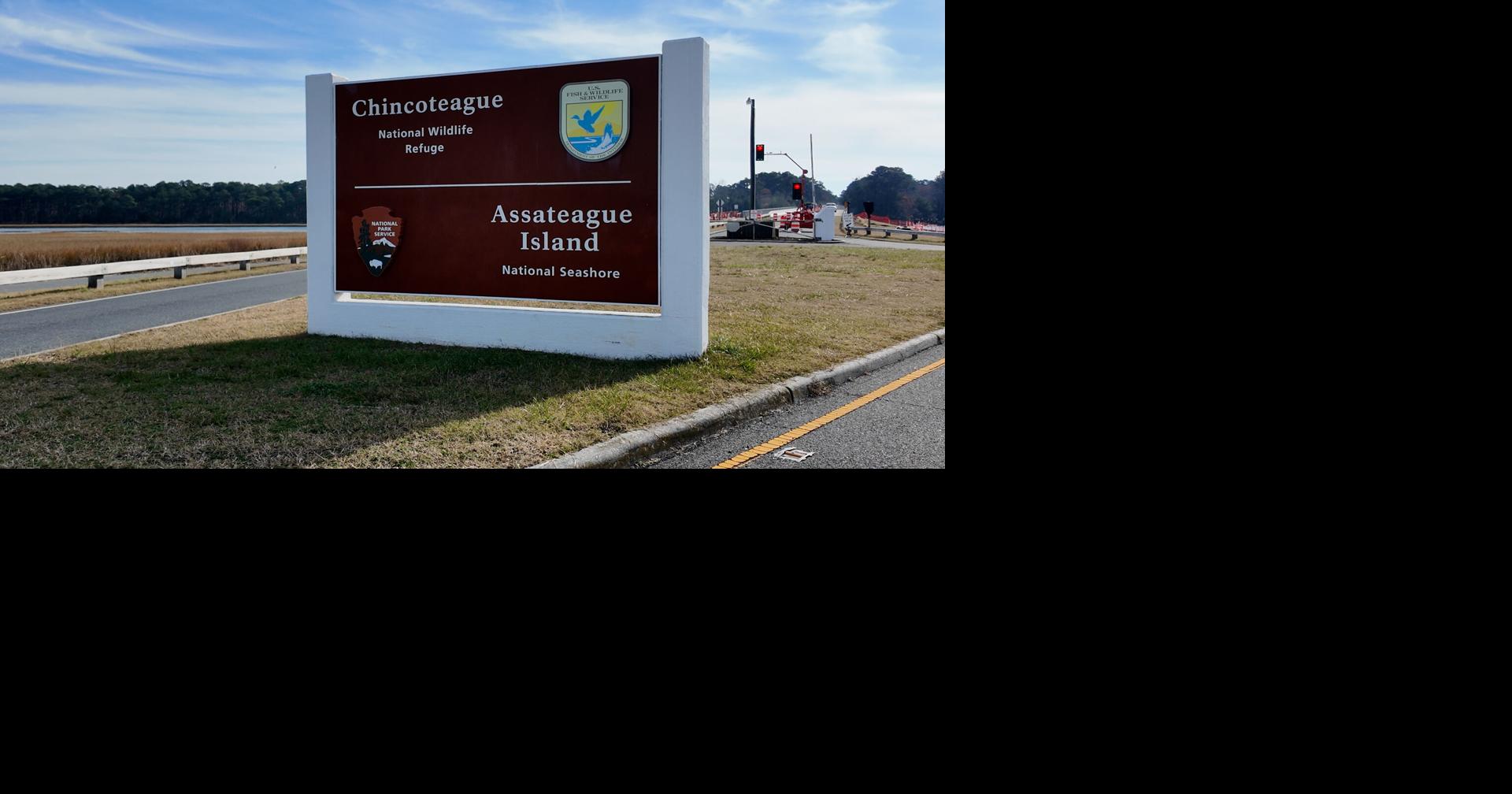 Chincoteague Mayor testifies about lifeguards before House Committee