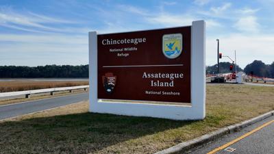 Assateague Island National Seashore