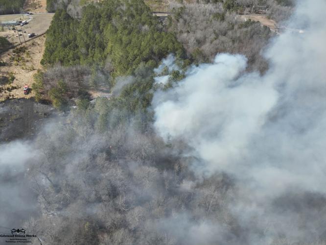 SEAFORD BRUSH FIRE _0302_3.jpg