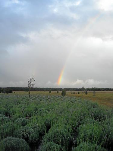 blue skye for web site 016