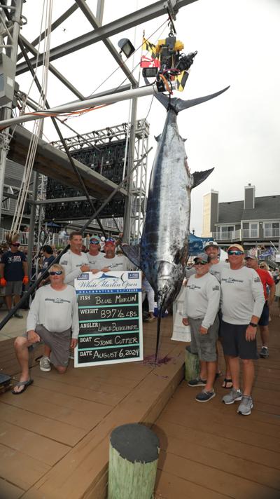 2024 White Marlin Open