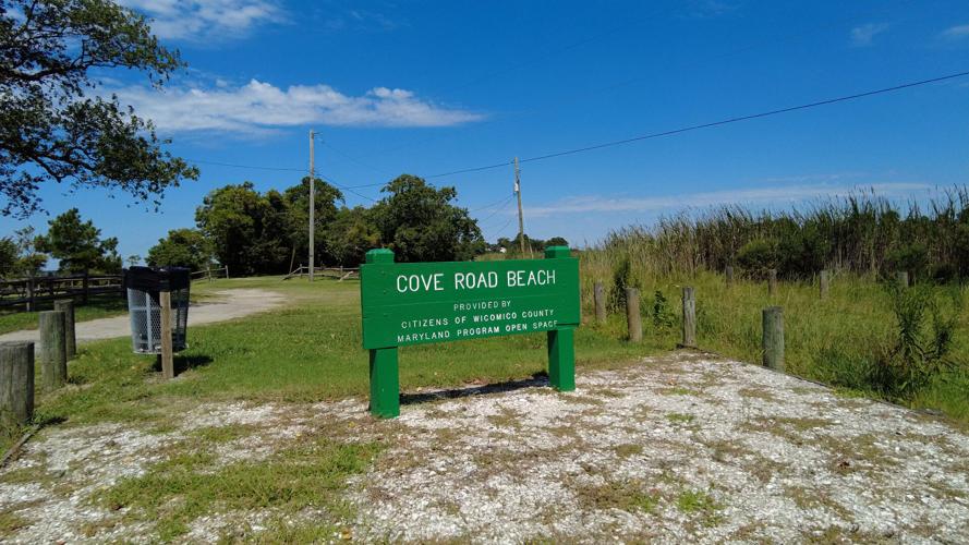Cove Road Beach will be Closed for Shoreline Restoration Latest News