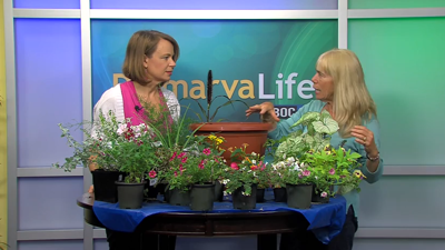 Gardening_with_Ginny_-_Tuesday_May_19,_2015