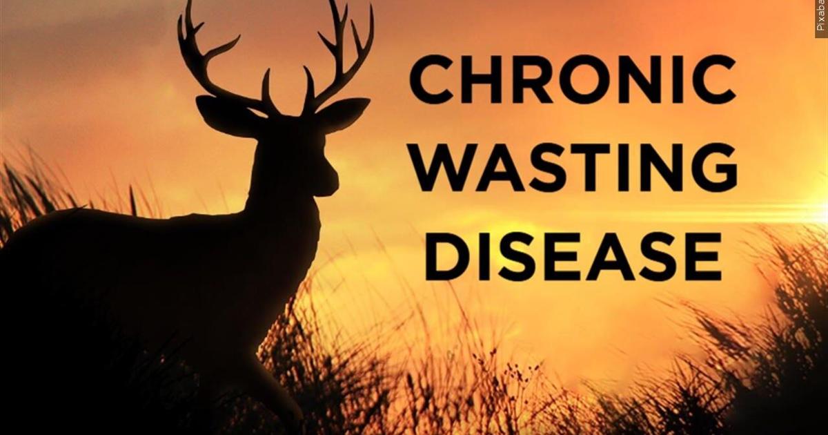 Emergency deer hunting regulations announced in Delaware in response to chronic wasting disease