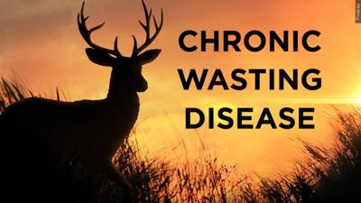 chronic wasting disease