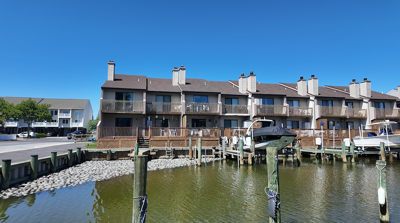 Horeshoe Crabs pile up in Ocean City Canal