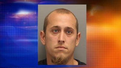 Updated: Arrest Made in Deadly Hartly Horse and Buggy Hit-and-run