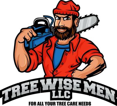 Tree Wise Men Offers Professional Tree Care Services for Homes and Businesses in Madison, Wisconsin