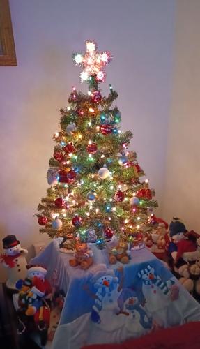 Iris Norman's Christmas tree in Greenwood, Del.