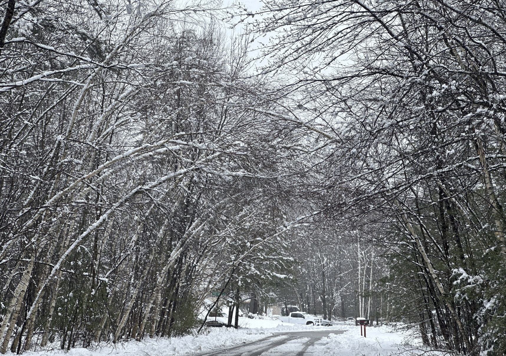 Spring Noreaster
