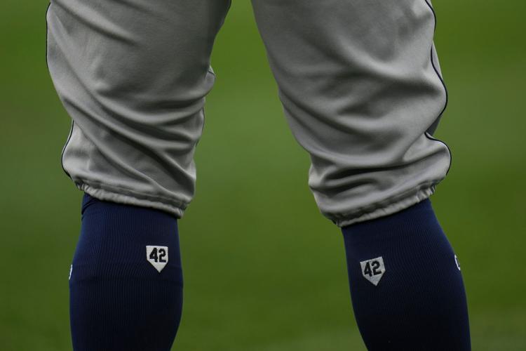 Rays White Sox Baseball