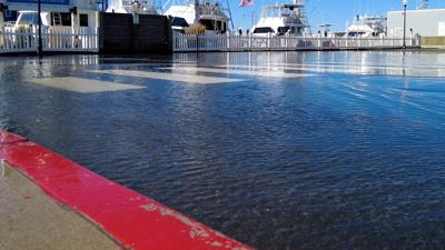 A street on the bay-side of Ocean City, MD flooded with a few inches of water. Street is next to a boat marina. 