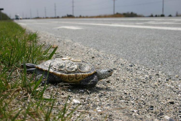 95849673_3218212098191060_6304510776434491392_o