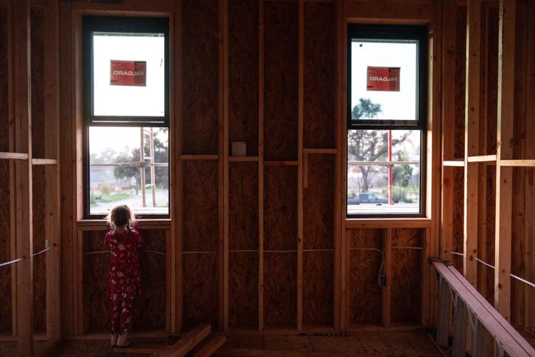 Los Angeles Wildfires Sunflowers