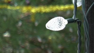Delmarva Neighbors Enjoying Warm December Weather