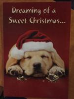 12325337_10154366955308032_1944057882_n