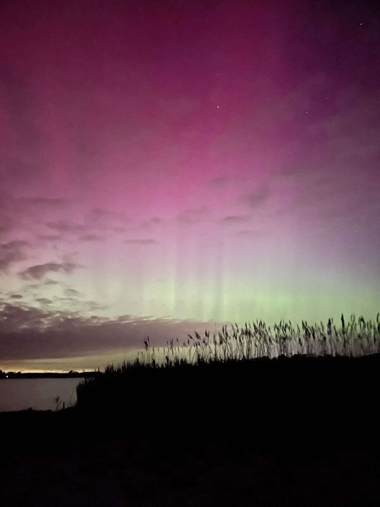 Northern Lights Blackwater