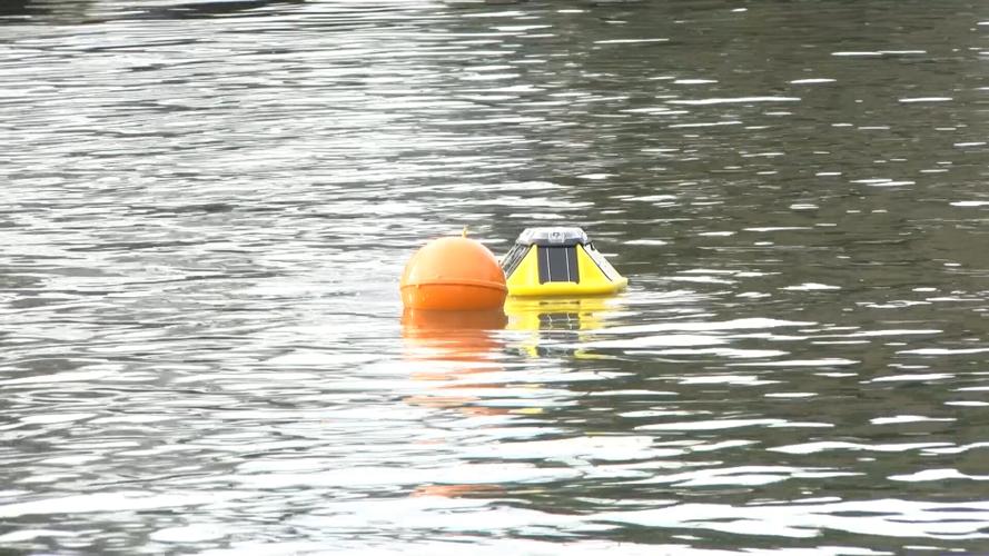 Buoy Floating