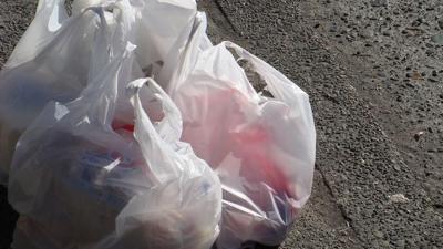Going Green: Limiting Our Use of Plastics
