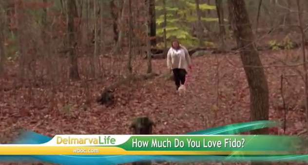 Local pet owners weigh in on their love for their animals compared to their love for children.