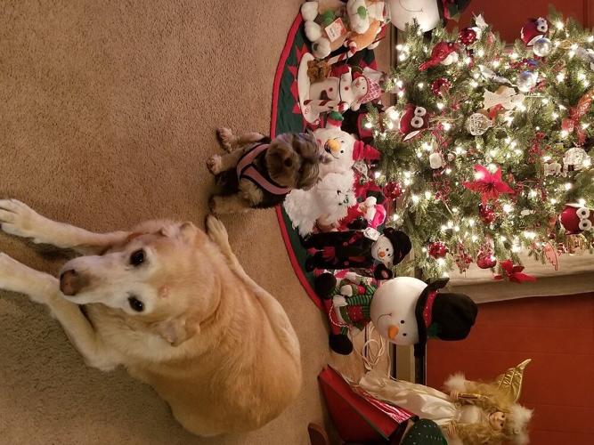 Bonnie-Greene-Blades-DE