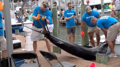 Jordan's Boat Competes At Day 3 Of The White Marlin Open