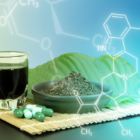 Wicomico Goes Purple to host Kratom information session