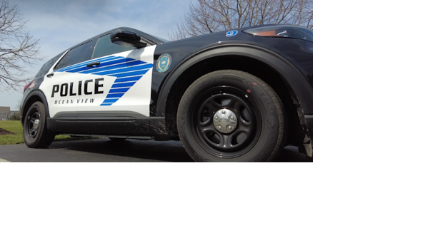 Coastal Delaware Towns Embrace Police Transparency with New Committee - Vimarsana News