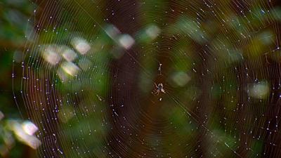 6TW0909T.00_00_00_00.Still001