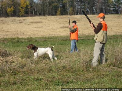 Virginia Hunting Seasons