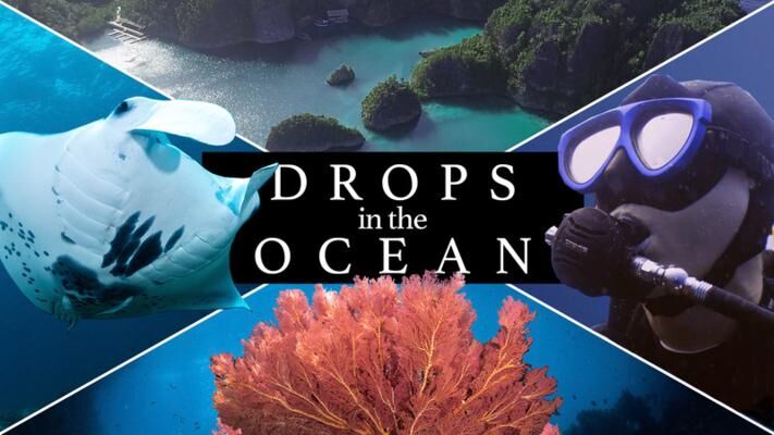 OCFF 2022 – Environmental & Aquatic Shorts