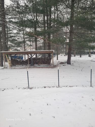 Elizabeth Mueller - Millsboro.jpg