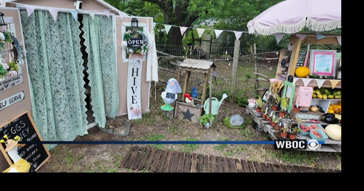 Heartbeat of Delmarva: Bee's Knees Mini Market