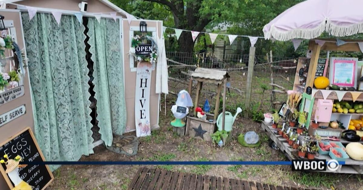Heartbeat of Delmarva: Bee's Knees Mini Market