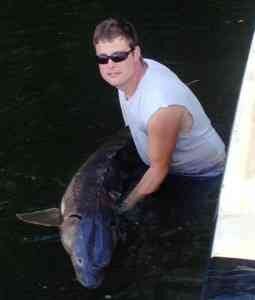 Endangered Atlantic Sturgeon Discovered in Marshyhope Creek