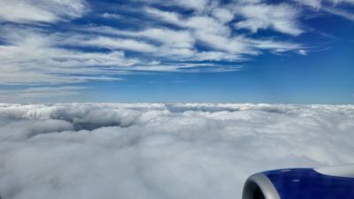 Flight picture