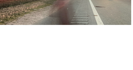 UPDATE: Four Vehicle Crash Kills One In Accomack County - Vimarsana News