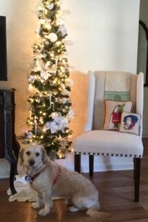 Tanner-Cristes-Dave-Ganoe