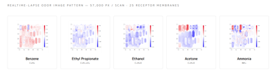ScentifAI Initiates Joint PoC with a Global Technology Company for Next-Generation Smell AI