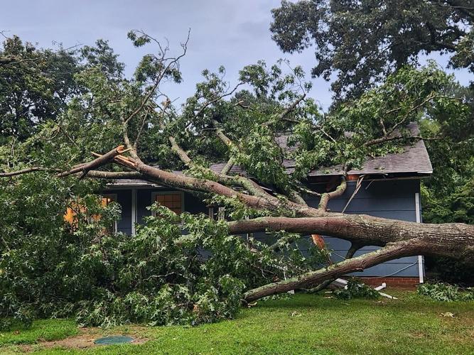 sfd_STORM_4.jpg