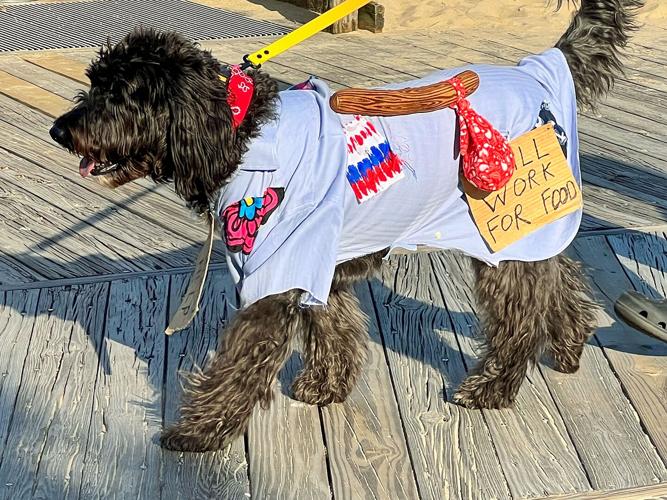 Doodles in Dewey Event Returns