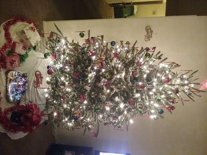 Bill Lewis tree cambridge