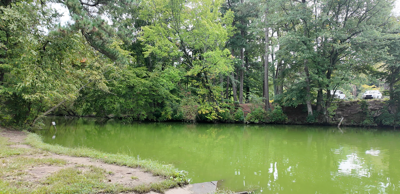 Murderkill River near Canterbury Rd.