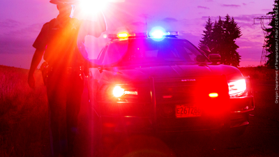Dover Police Searching for Suspect in Overnight Home Burglary | Latest ...