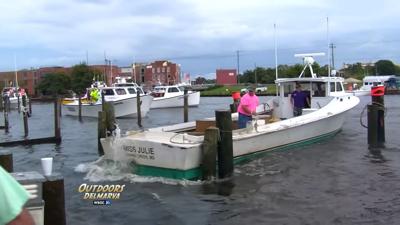 Chesapeake Cowboys