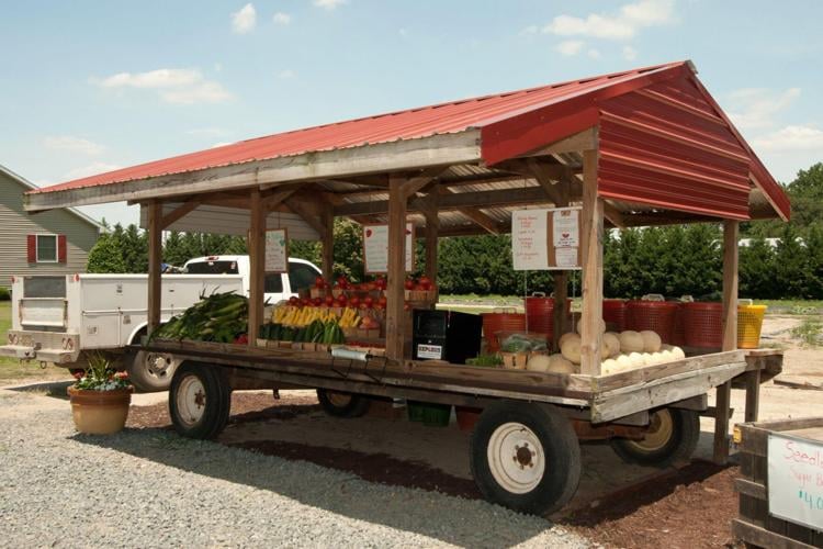 458111_336352463083868_305311762_o